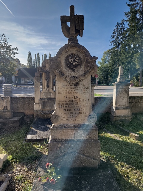 IMG_20251008_103629.jpg IMG_20251008_103629.jpg