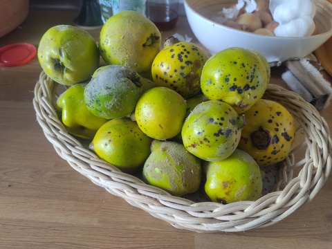 IMG_20251009_090339.jpg IMG_20251009_090339.jpg