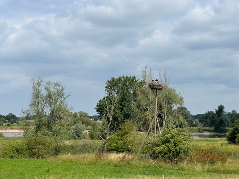 IMG_4880.JPG