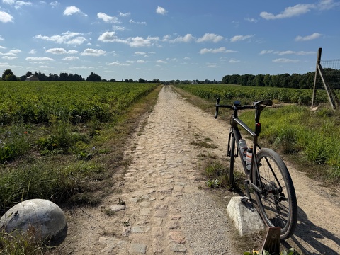 Cobbles.JPG